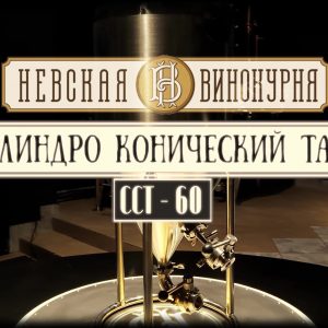 ЦКТ 60 литров без рубашки и термоизоляции,с группой безопасности, нержавейка
